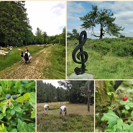 Apartament Fewo-bergseeoase