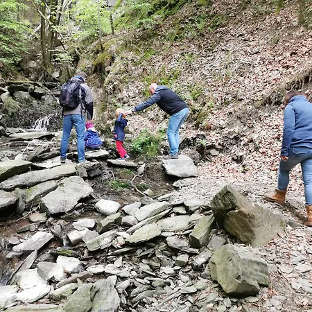 Fewo-bergseeoase * وينتربرغ