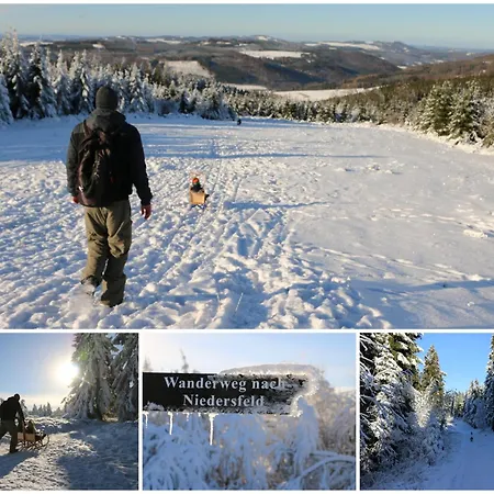 Fewo-bergseeoase Winterberg