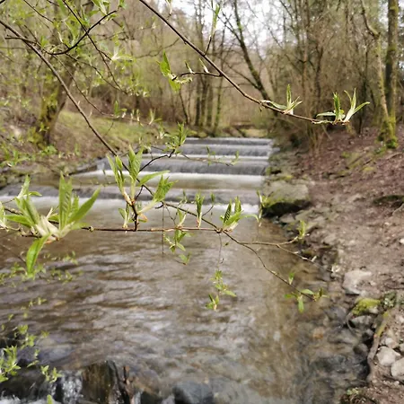 Apartament Fewo-bergseeoase *