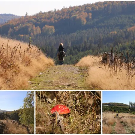 Fewo-bergseeoase * Winterberg