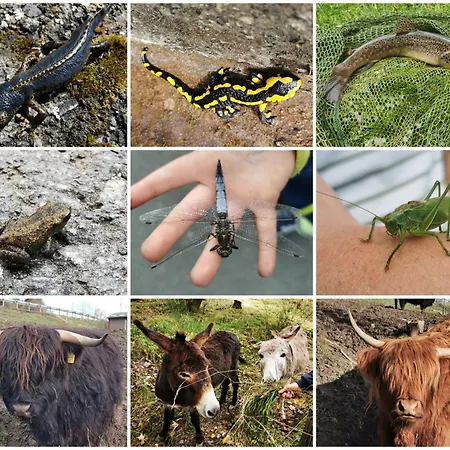 Fewo-bergseeoase Apartament *