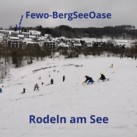 Fewo-bergseeoase Winterberg