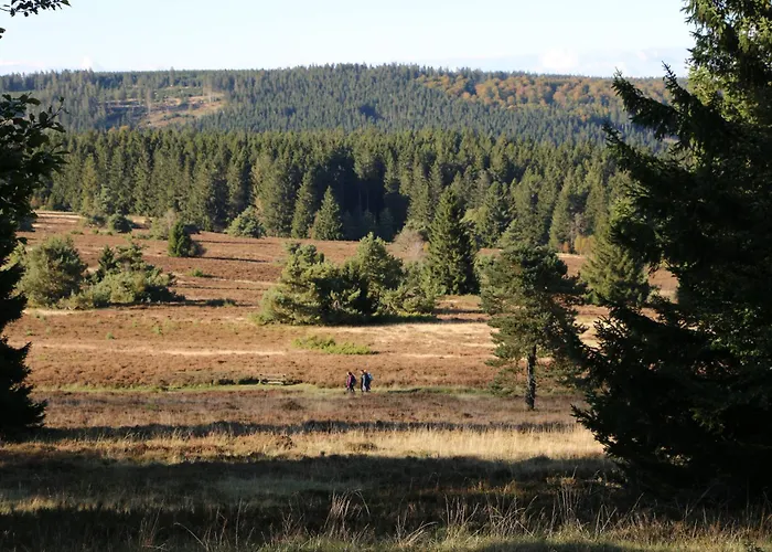 Apartamento Fewo-bergseeoase Winterberg