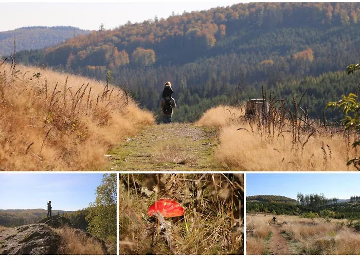 Fewo-bergseeoase * Winterberg