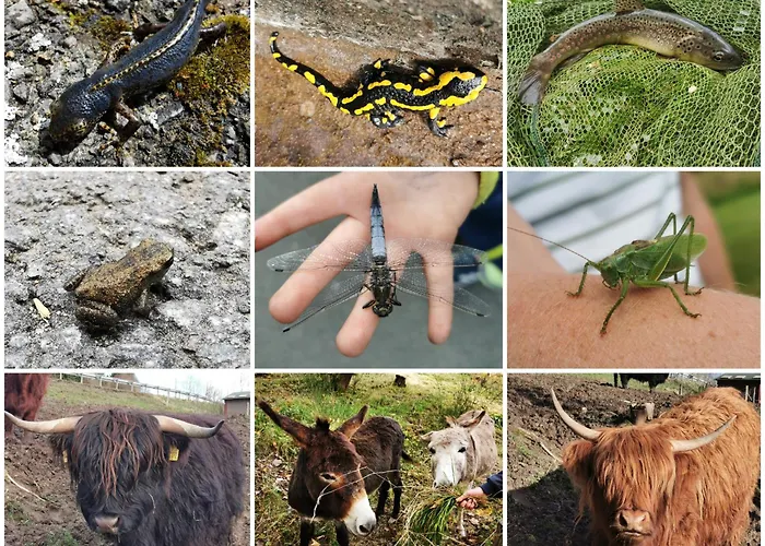 Fewo-bergseeoase Apartamento *